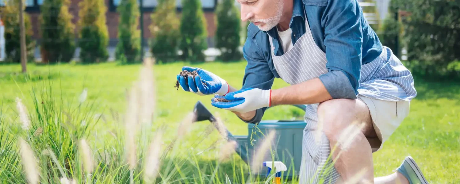 Home Decor and Garden