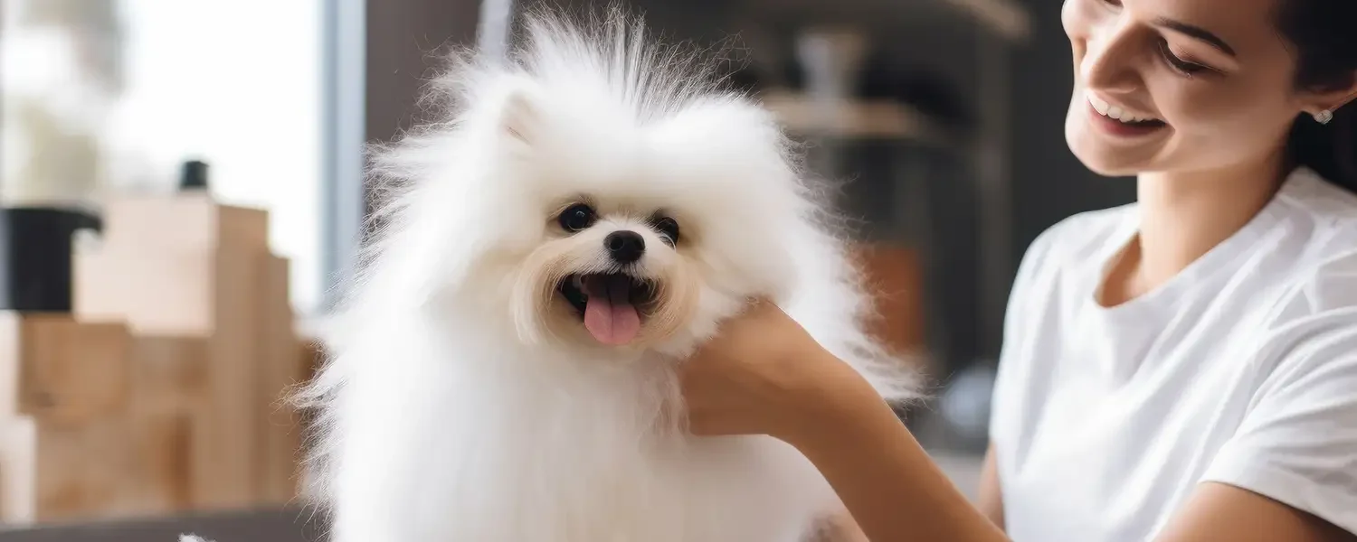 Pets and Pet Care